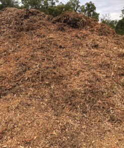 Arbor Mulch - field before clearing