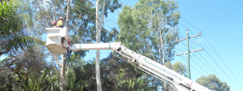 banner power line clearance